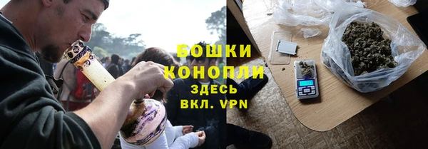сатива Козельск