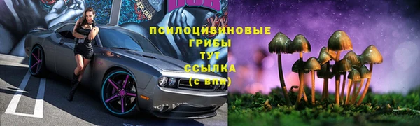 спиды Киреевск