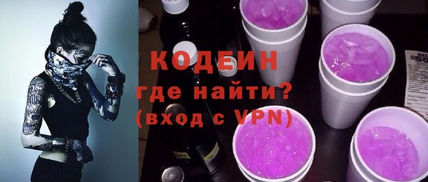 амф Ельня