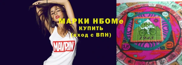 сатива Козельск
