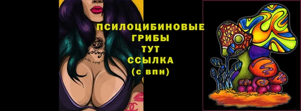 тгк Кодинск