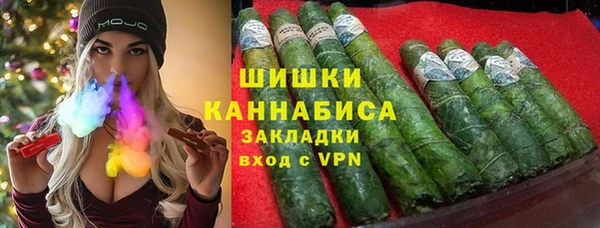 сатива Козельск