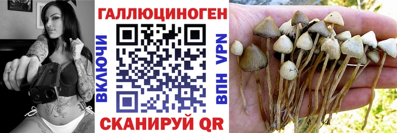 Галлюциногенные грибы Psilocybine cubensis Похвистнево
